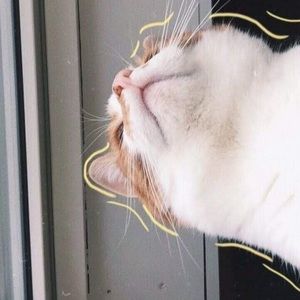 Meet your Posher, Skylar